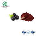 /msite/products/detail/productid/62781715/id/1511203.html
